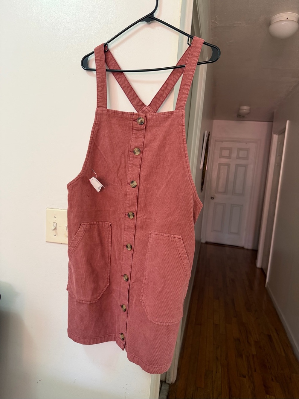 American Eagle Outfitters Button-Front Pinafore Dress in Dusty Rose